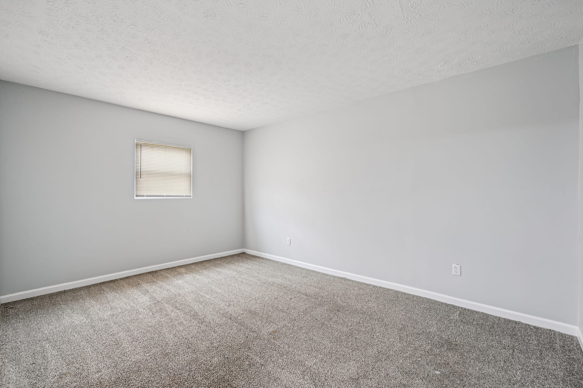 Primary Bedroom — 2 bed / 1 bath apartment at Cleve Royale (photo 1)