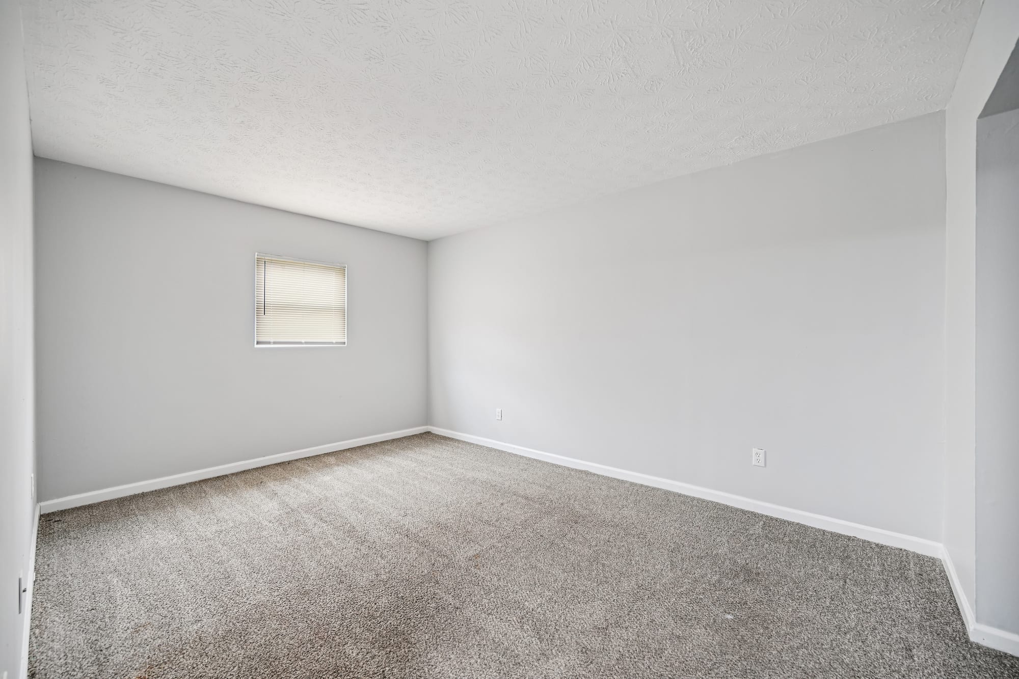 Primary Bedroom — 2 bed / 1 bath apartment at Cleve Royale (photo 2)