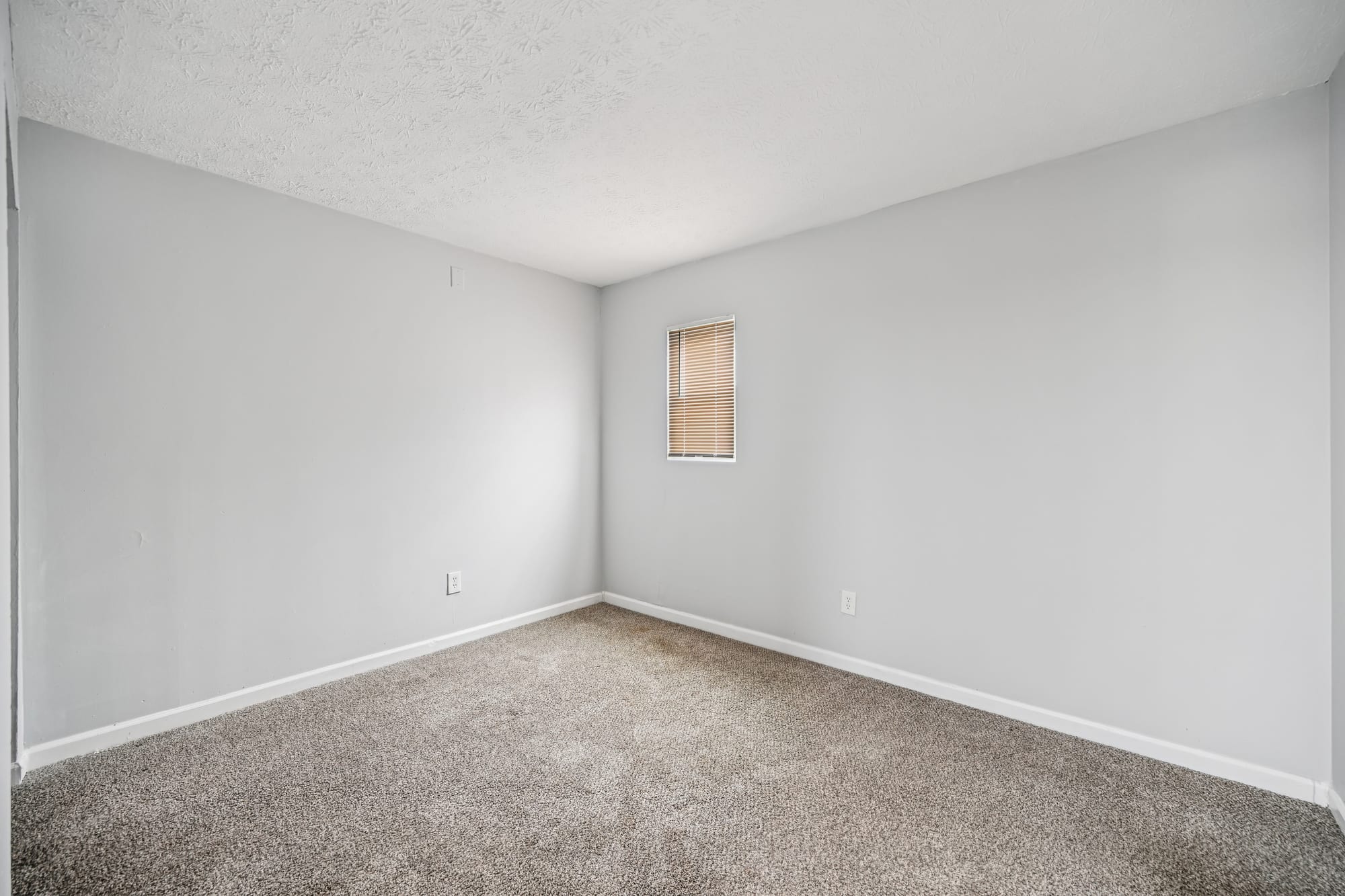 Second Bedroom — 2 bed / 1 bath apartment at Cleve Royale (photo 1)